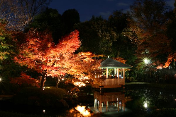 Popular sightseeing destination Suginami - only 10 minutes by train from Shinjuku