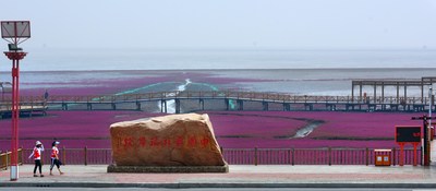 Red Beach has been identified on the location of China's northernmost coast