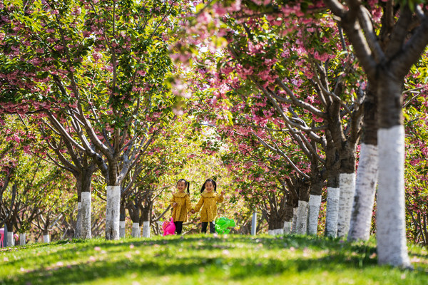 Yantai, a Fairyland in the Spring Breeze