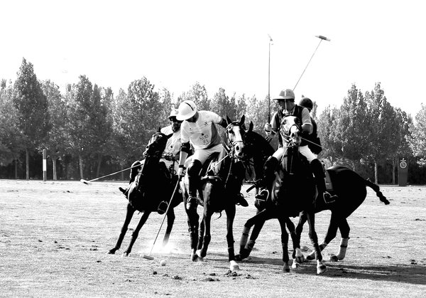 NUO Hotel Beijing Helps Make the 9th British Polo Day China a Galloping Success