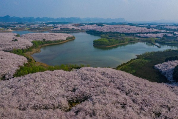 West China's Guian New District pioneers digital economy development