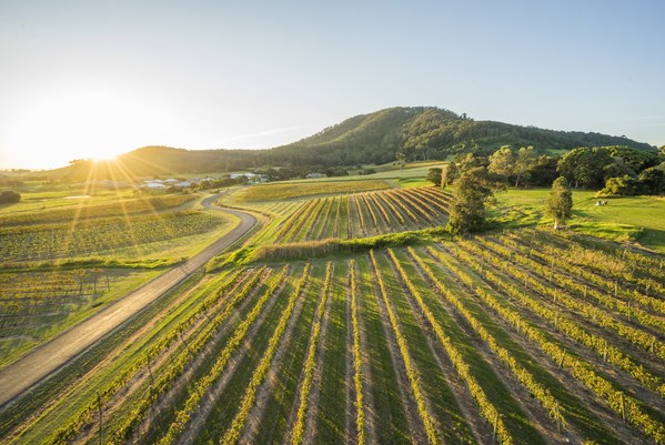 Destination New South Wales - Shoalhaven: Vineyards by the ocean