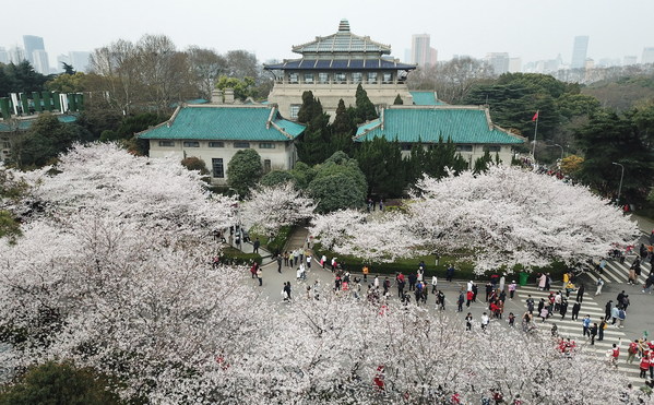 Hot dry noodles, Yellow Crane Tower and bright prospects: Wuhan extends invitation to global visitors, investors