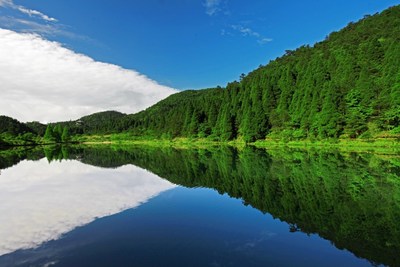 A large delegation of leading Chinese painters, photographers and writers visit Zhejiang province's Longquan