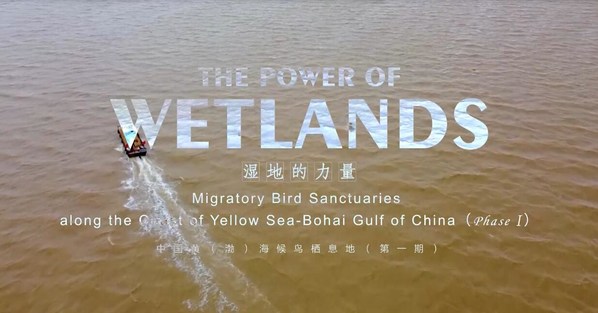 The Power of Wetlands Launched -- feel the Power of Wetlands in migratory bird international airport