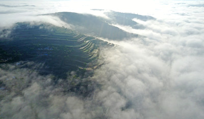 Gansu Pingliang seeks green growth via tourism, apples, cattle