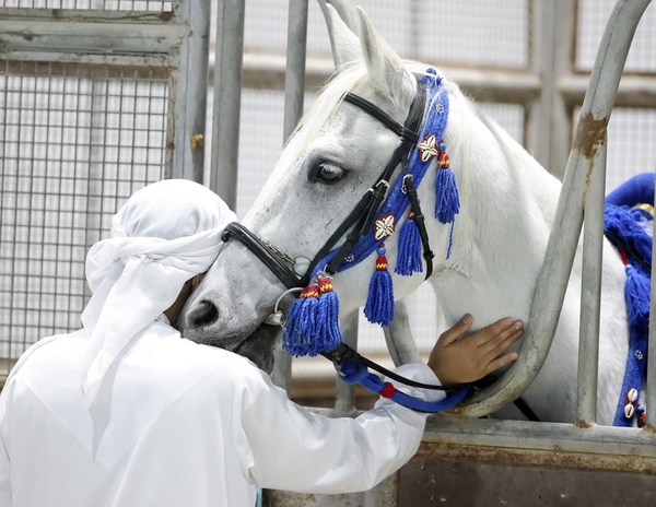 Abu Dhabi organizes the largest exhibition for hunting, equestrian and heritage preservation in the Middle East and Africa