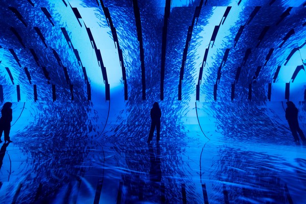 SC Johnson Invites Londoners to Walk Beneath the Ocean's Surface in The Blue Paradox - An Immersive Experience Exploring the Ocean Plastic Pollution Crisis