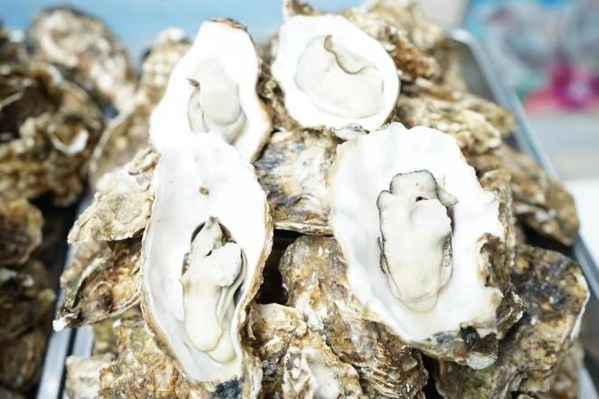 The Promotion Ceremony for the 6th Rushan Oyster Culture Festival in Weihai gets underway in Jinan