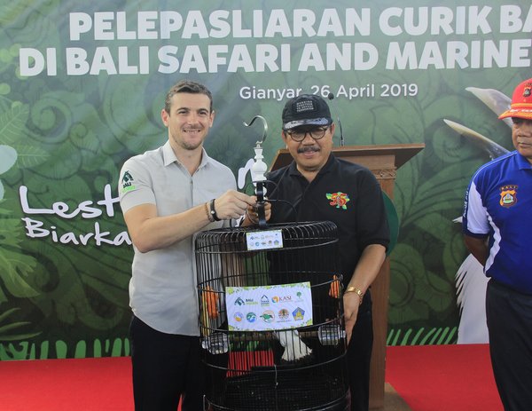 Bali Safari Park Releases Bali Starlings Into The Wild To Save This Iconic Natural Heritage