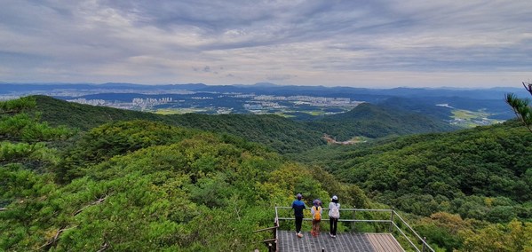 The Dullesan-gil Trail in Daejeon is designated as Korea's 7th "National Forest Trail"