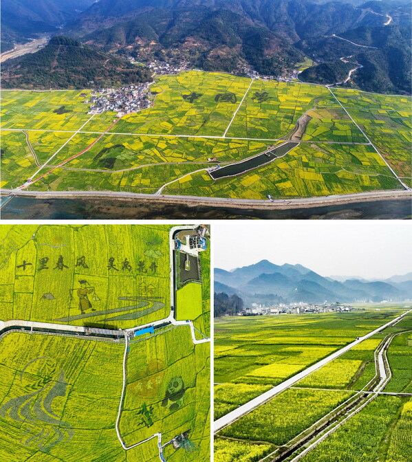 Encounter a stunning spring in the sea of rapeseed flowers in southwest China's Guizhou Province