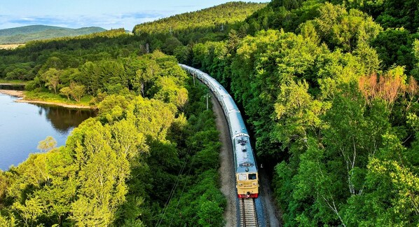 Forest train blazes new trail for tourism in northeast China