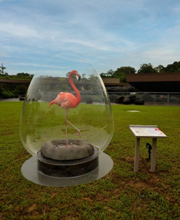 Museum of Fine Arts, Boston and ARTiSTORY debuted an immersive outdoor installation -  "Take Flight with Museum of Fine Arts, Boston x Audubon" at the Mandai Wildlife Reserve, Singapore on 19 May 2023