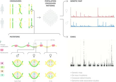 deCODE Publishes the First Full Resolution Genetic Map of the Human Genome