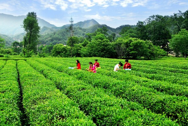 Xinhua Silk Road: NW. China's Gansu sees booming rural tourism