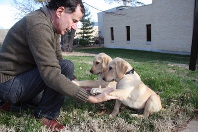 Man Who Cloned His Dying Service Dog in Seoul Returns to Bare "His Soul"