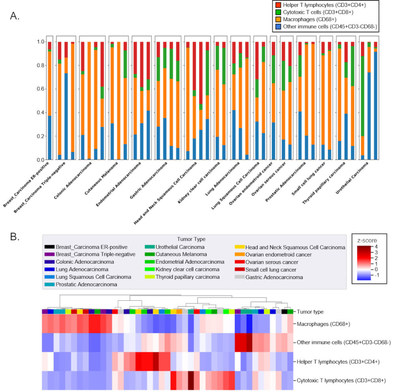 IONpath and Bristol Myers Squibb Jointly Author New Laboratory Investigation Article Exploring the Complexities of the Tumor Microenvironment