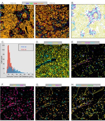 IONpath and Bristol Myers Squibb Jointly Author New Laboratory Investigation Article Exploring the Complexities of the Tumor Microenvironment