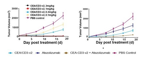 Boan Biotech Publishes Research Results for CEA/CD3 Bispecific Antibody in Antibody Therapeutics