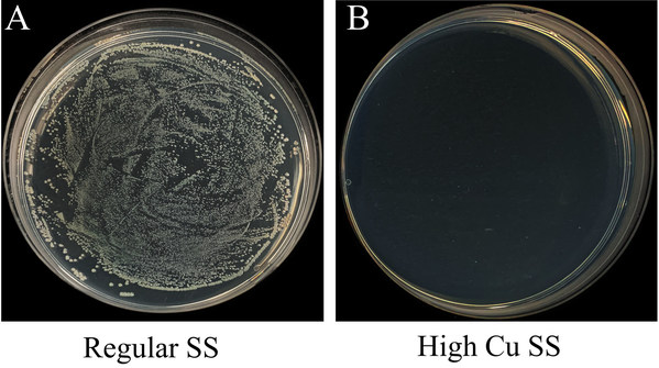 HKU teams develop the first anti-COVID-19 stainless steel