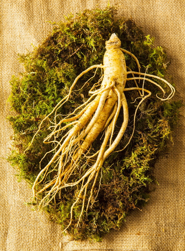 The Korea Ginseng Association announced 2022 Yeongju World Punggi Ginseng Expo