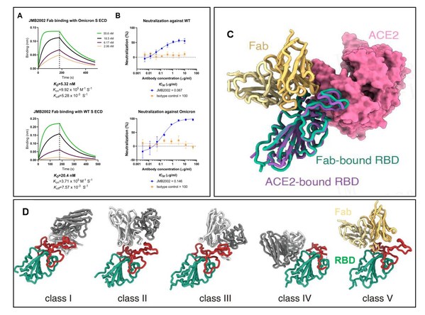 Breakthrough Discoveries on Novel Features of Omicron Variant and An Anti-Omicron Antibody JMB2002