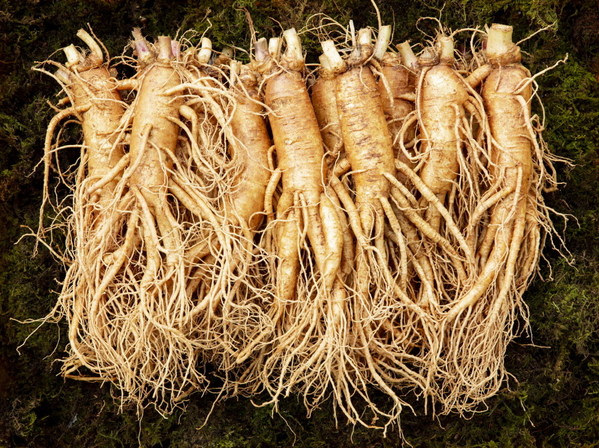 The Ministry of Agriculture, Food and Rural Affairs announced that exports of agricultural and fishery products such as ginseng exceeded $10 billion.