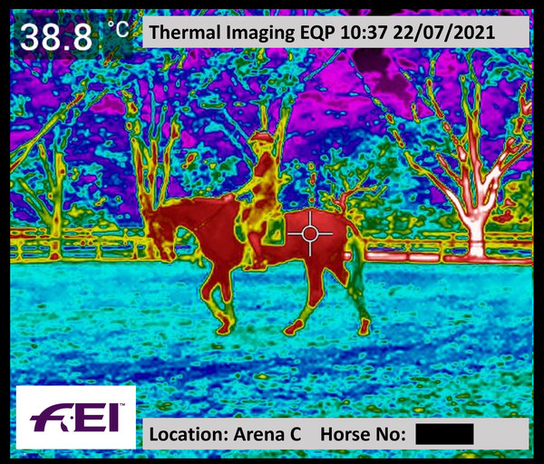 Keeping cool in Tokyo - heat and humidity measures under the microscope