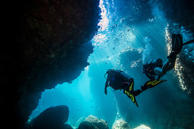 Global PADI Women's Dive Day Events Give Back to Our Blue Planet