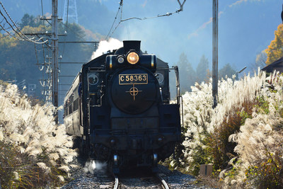 Aboard the Sake Train: a Locomotive Treat Awaits Rugby Visitors to Saitama