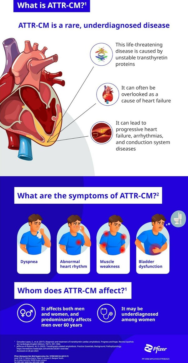 PFIZER CALLS FOR MORE AWARENESS OF TRANSTHYRETIN AMYLOID CARDIOMYOPATHY (ATTR-CM) - A RARE, LIFE-THREATENING DISEASE