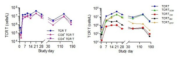 ISCT 2023: Late-breaking SCG101 Data Show 100% HBsAg+ Hepatocyte Eradication and 74.5% HCC Tumour Reduction With Single Dose HBsAg-specific TCR-T Cell Therapy