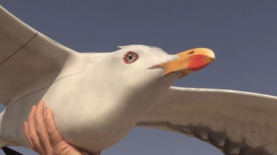 Unobtrusive Surveillance With Drone Bird