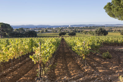 Moet Hennessy Acquires Chateau du Galoupet, Cotes-de-Provence, Cru Classe Since 1955