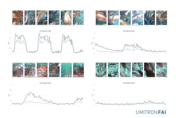 Aquaculture technology provider UMITRON launches Fish Appetite Index (FAI), the world's first real-time ocean-based fish appetite detection system.