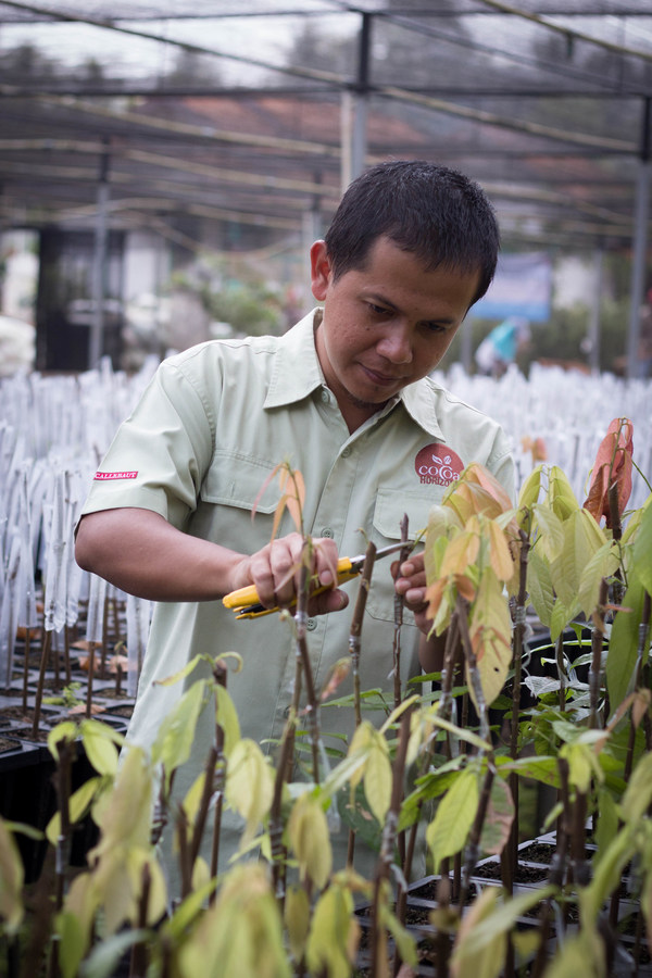 Barry Callebaut and Garudafood announce strategic partnership to distribute Van Houten Professional products in Indonesia