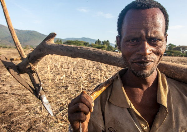 Biovision Foundation / A decade on: A critical new book by UN's World Agriculture Report (IAASTD) members calls for an accelerated transformation of our food systems