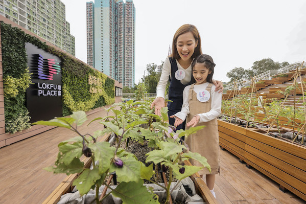 Lok Fu Place Launches the "Herbal Harvest" Campaign: The Only Shopping Centre in Kowloon with an Urban Farm