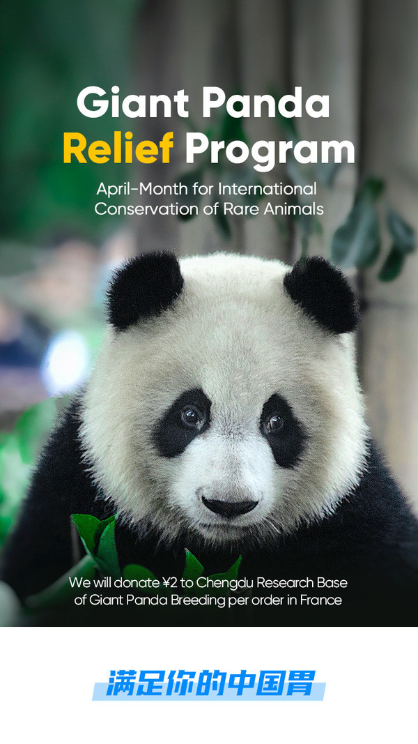 Facilitating the Research of Giant Panda Breeding, HungryPanda Courageously Takes Social Responsibility