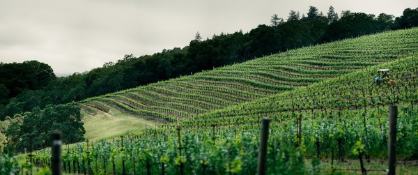 MOËT HENNESSY STRENGTHENS ITS GLOBAL PORTFOLIO OF EXCEPTIONAL WINES WITH THE ACQUISITION OF JOSEPH PHELPS VINEYARDS, ONE OF THE MOST RESPECTED AND ACCLAIMED WINE PROPERTIES OF THE NAPA VALLEY IN CALIFORNIA