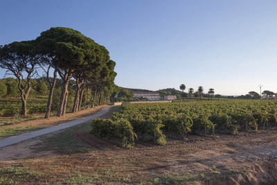 Moet Hennessy Acquires Chateau du Galoupet, Cotes-de-Provence, Cru Classe Since 1955