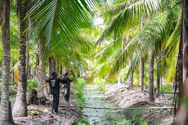 Chaokoh coconut milk works with Thai farmers to elevate quality and sustainability including Animal Rights