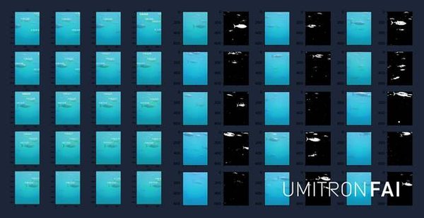 Aquaculture technology provider UMITRON launches Fish Appetite Index (FAI), the world's first real-time ocean-based fish appetite detection system.