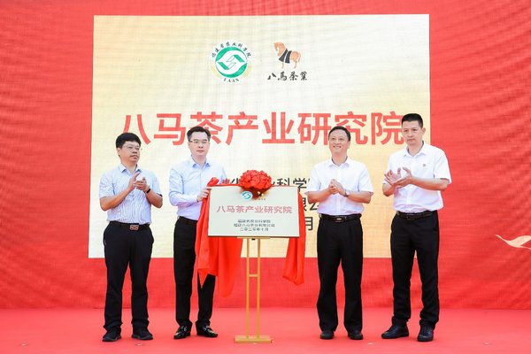 Bama Tea Held A Tea Brand Summit To Promote Anxi Tieguanyin