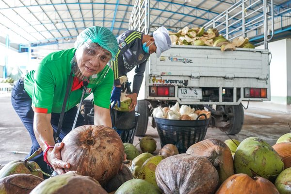 Chaokoh coconut milk works with Thai farmers to elevate quality and sustainability including Animal Rights