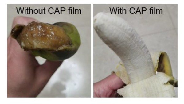 CONTROLLED ATMOSPHERE PACKAGING (CAP) FILM MADE USING K-RESIN DK11 FOR BETTER FRUIT AND VEGETABLE PRESERVATION