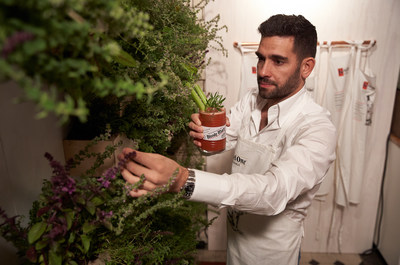 Ketel One Inspires Bartenders to Create More Sustainable Cocktails