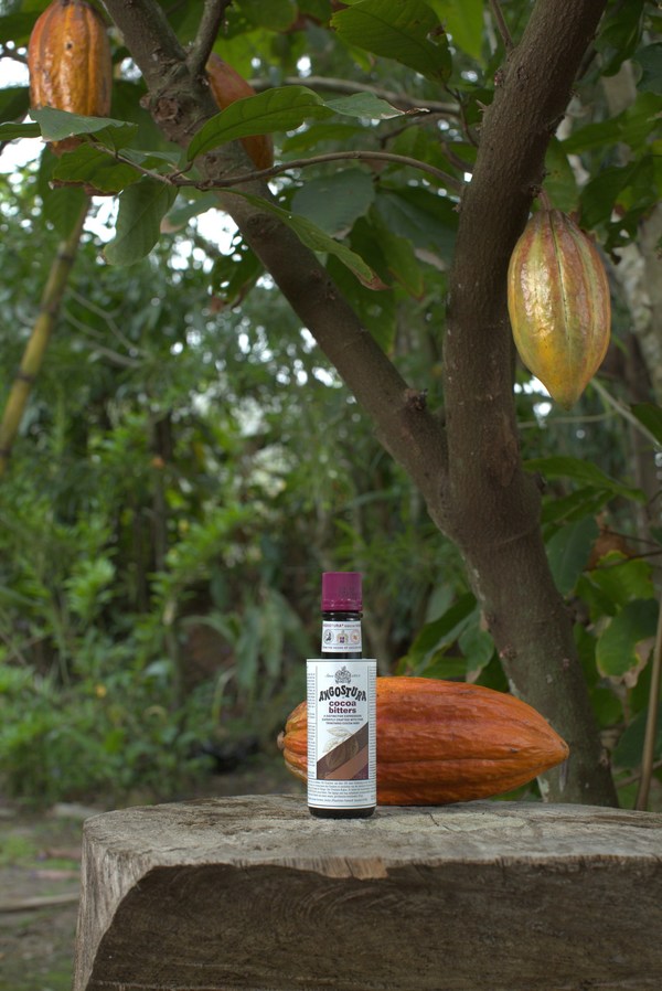 ANGOSTURA® cocoa bitters unveils 'SUSTAINABLE FUTURE' PROGRAMME to support THE SURVIVAL OF TRINITARIO COCOA PRODUCTION IN TRINIDAD & TOBAGO