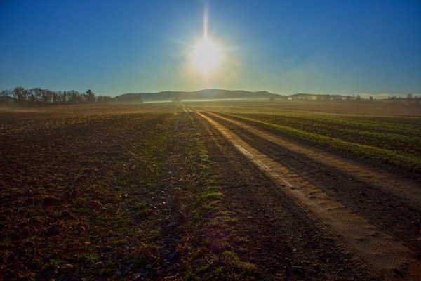 World's leading food & farming businesses launch action plan to scale regenerative farming, warning speed of progress 'must triple' to tackle the impacts of climate change